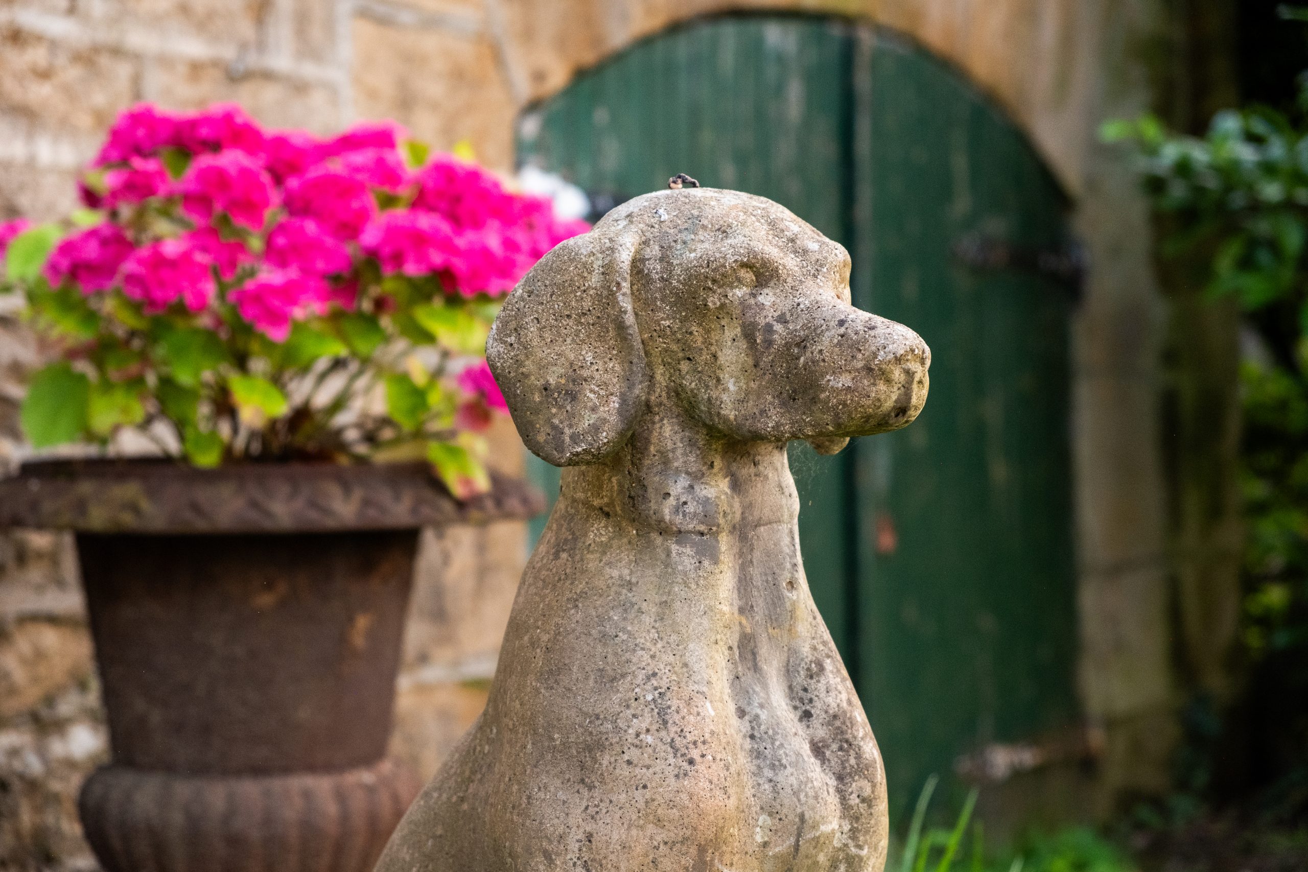 Stone dog statue in the garden of Château Guillermo with bright pink flowers and green wooden door in the background.